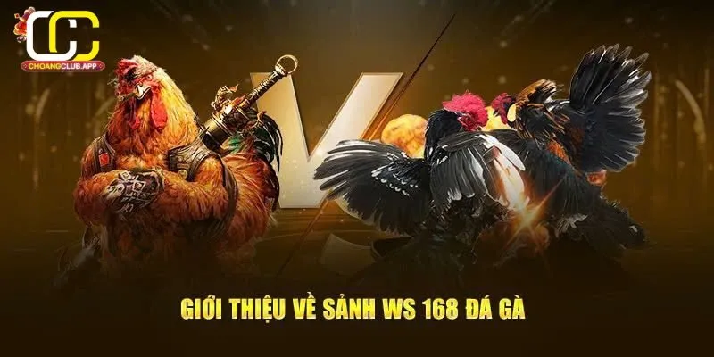 Giới Thiệu Về Ws168 Đá Gà  Trên Choangclub